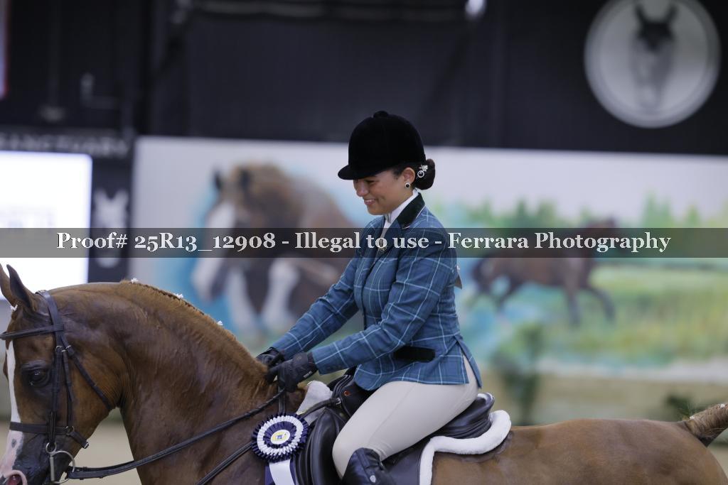 Proof Number 25R13_12908