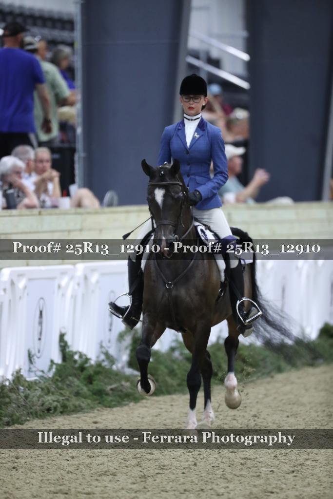Proof Number 25R13_12910