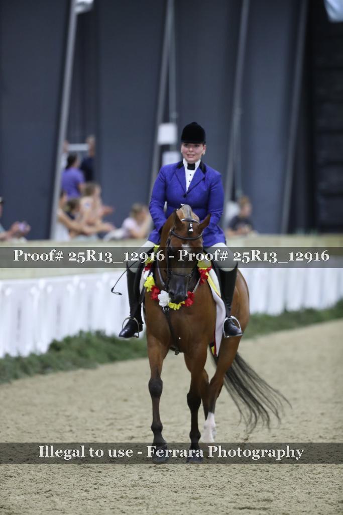 Proof Number 25R13_12916