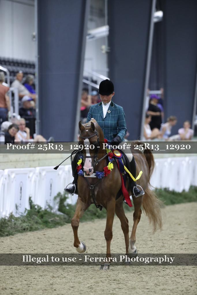 Proof Number 25R13_12920