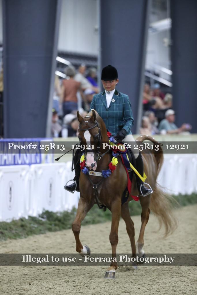 Proof Number 25R13_12921