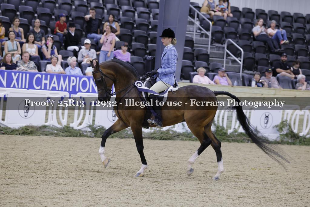 Proof Number 25R13_12932
