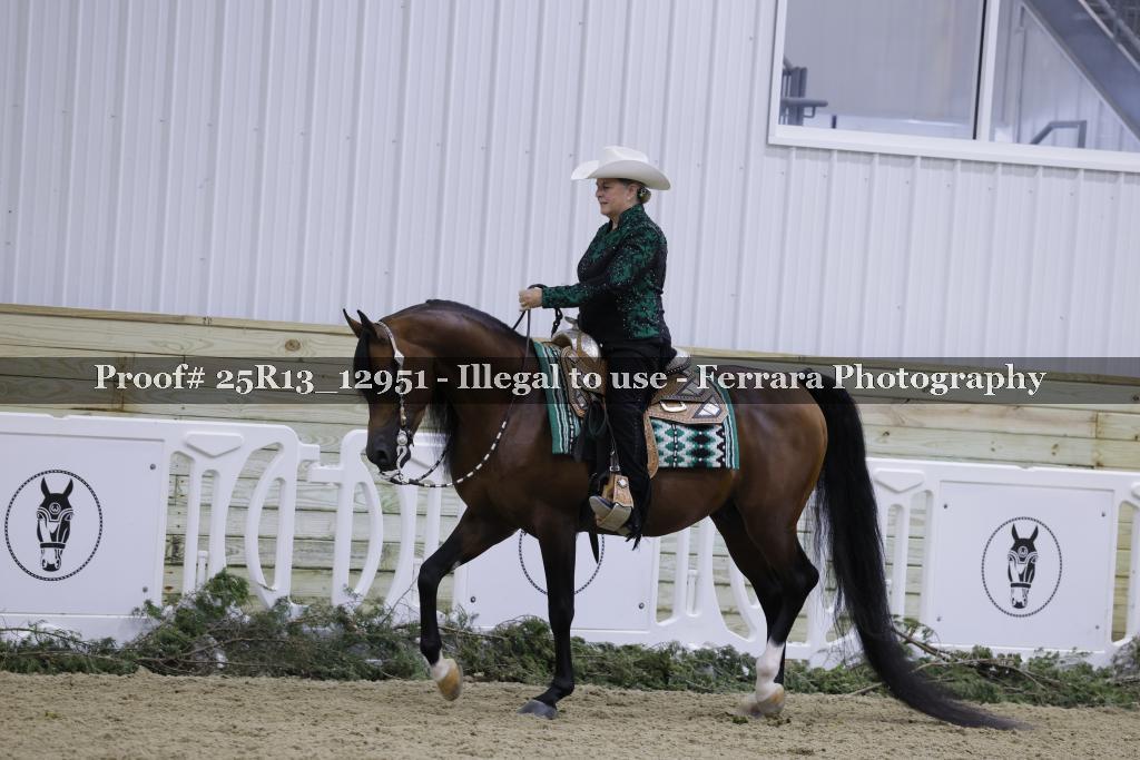 Proof Number 25R13_12951