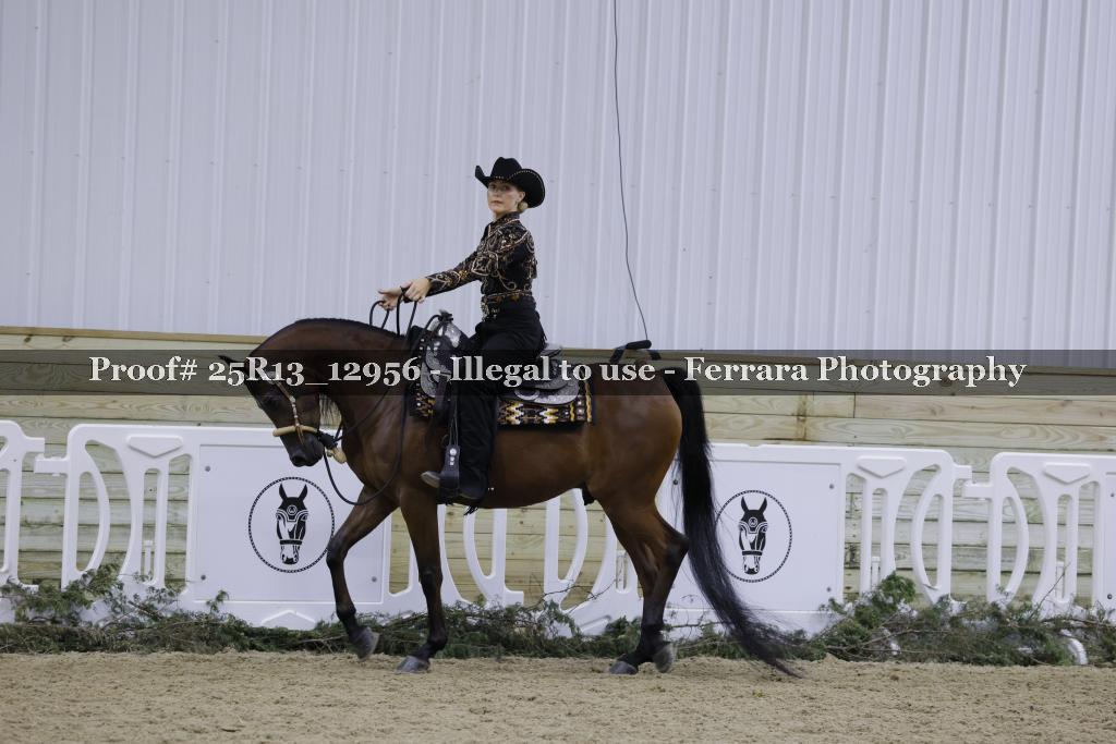 Proof Number 25R13_12956