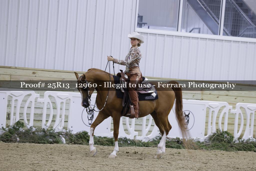 Proof Number 25R13_12960