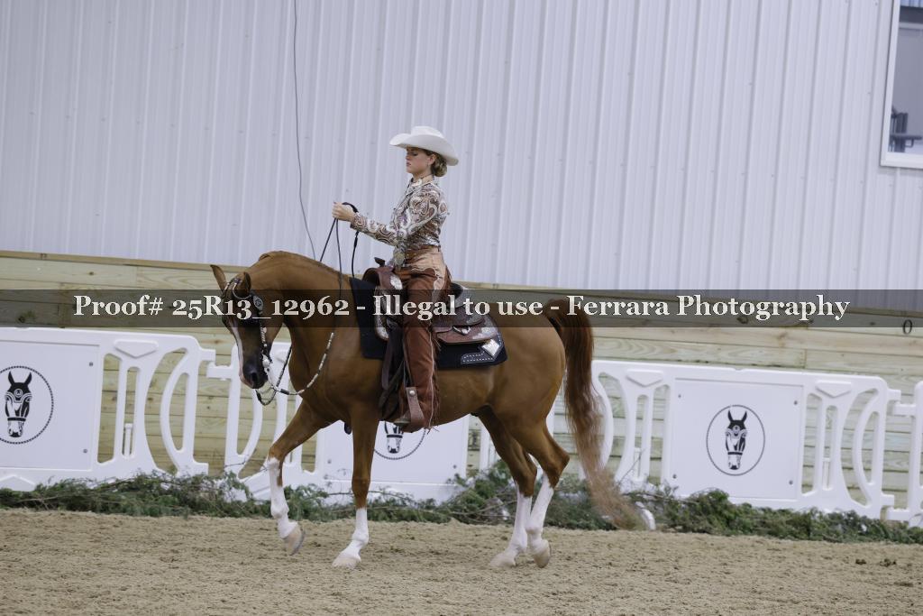 Proof Number 25R13_12962