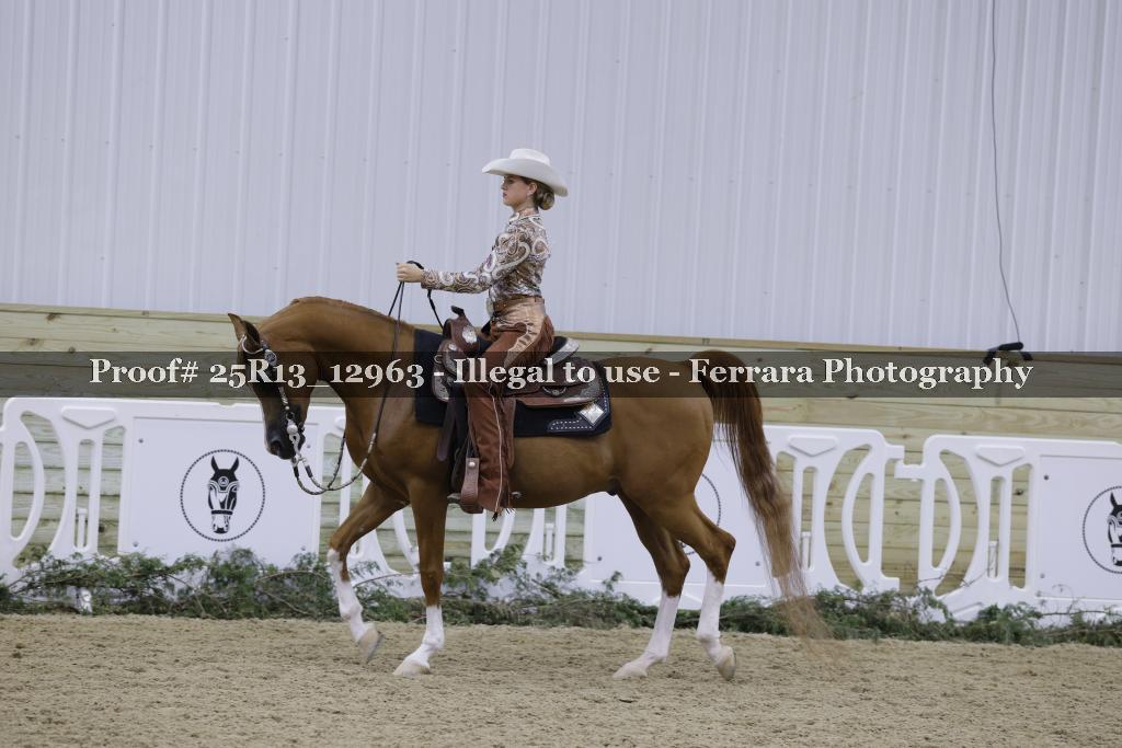 Proof Number 25R13_12963