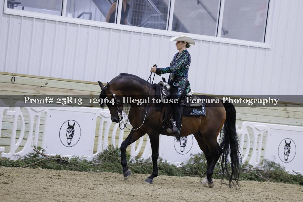 Proof Number 25R13_12964