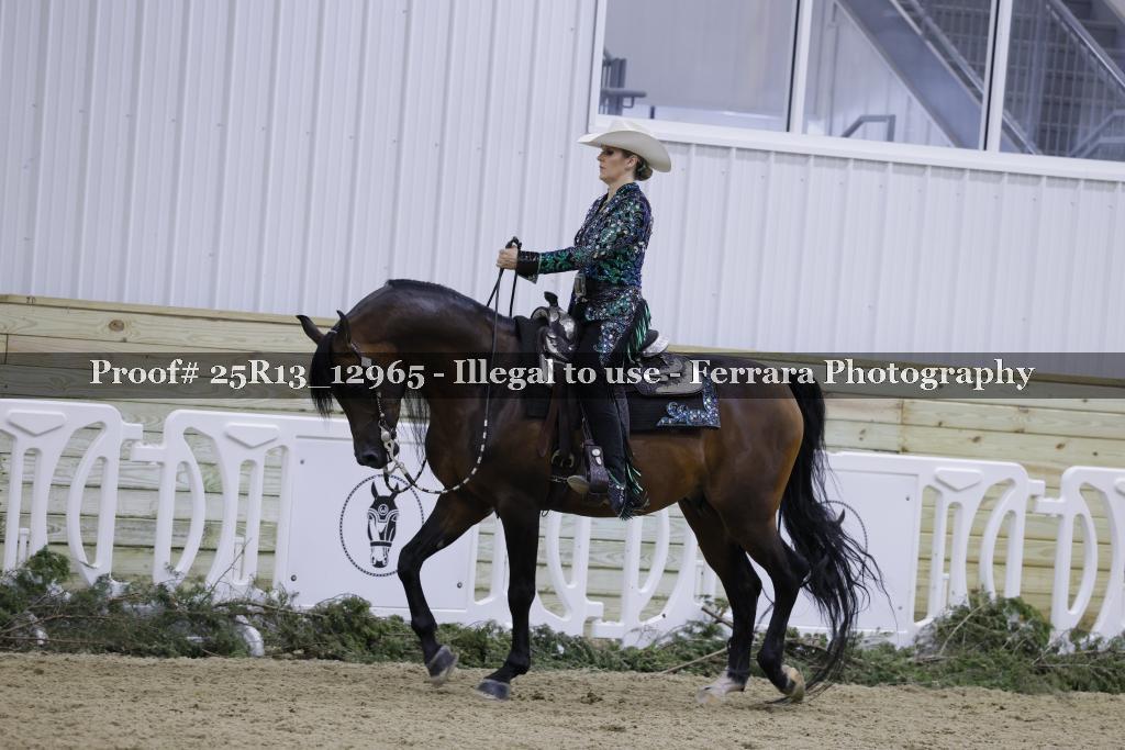 Proof Number 25R13_12965
