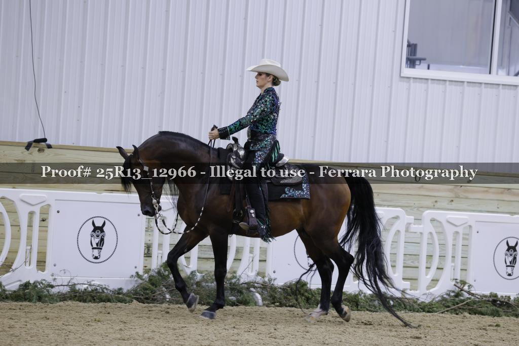 Proof Number 25R13_12966
