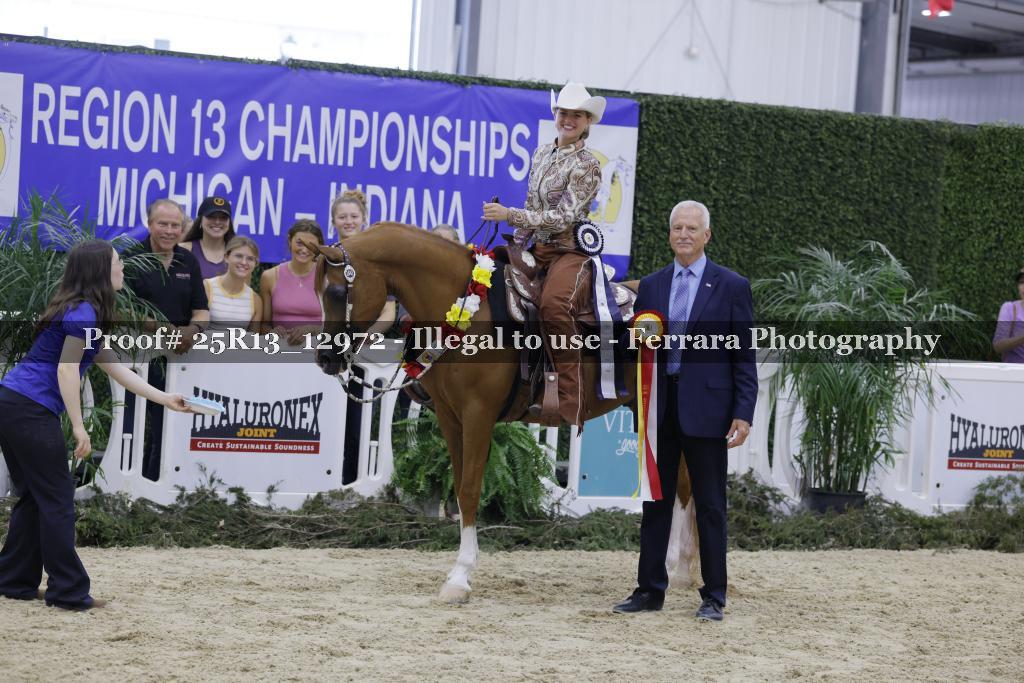 Proof Number 25R13_12972