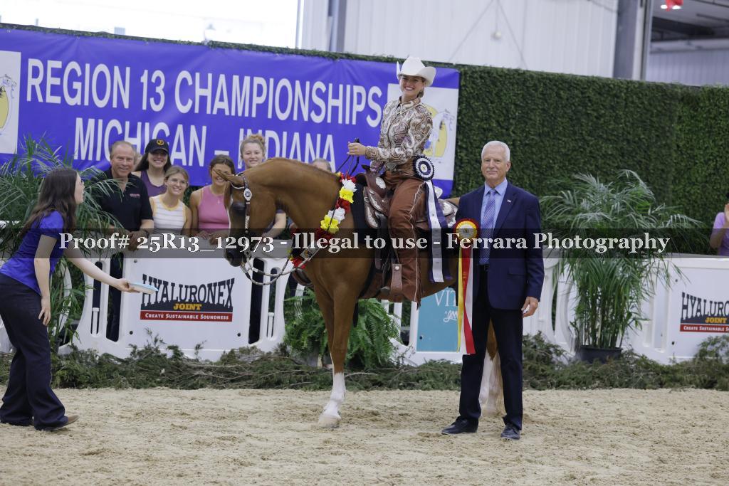 Proof Number 25R13_12973