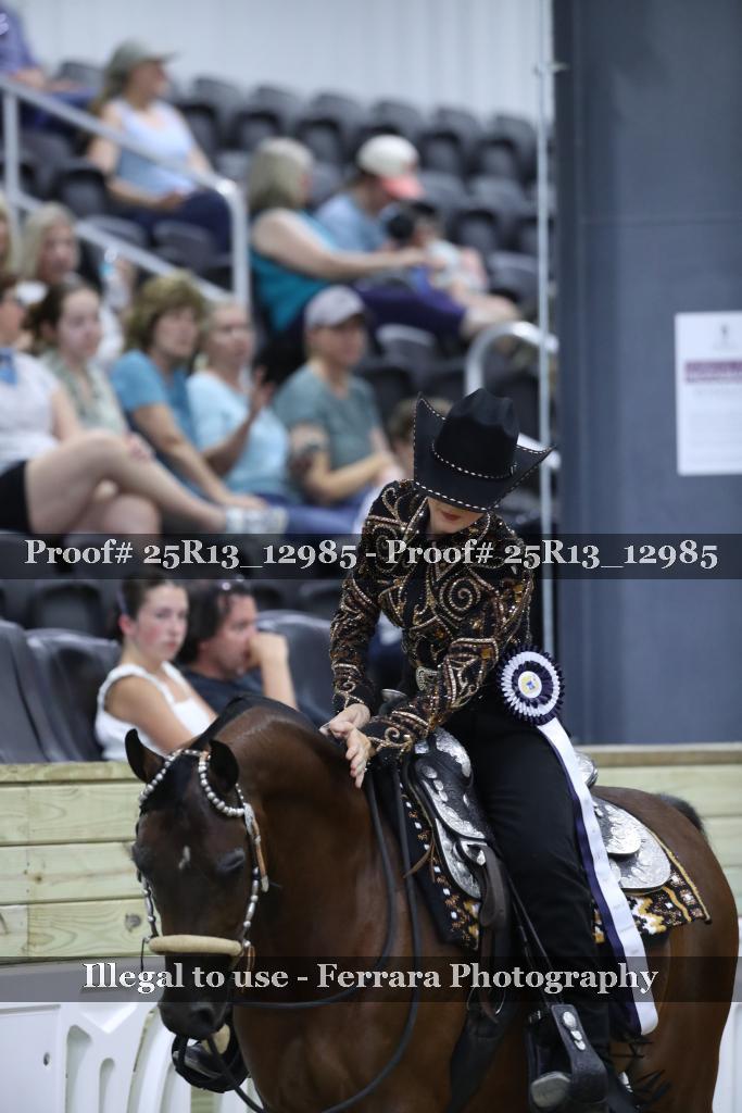 Proof Number 25R13_12985