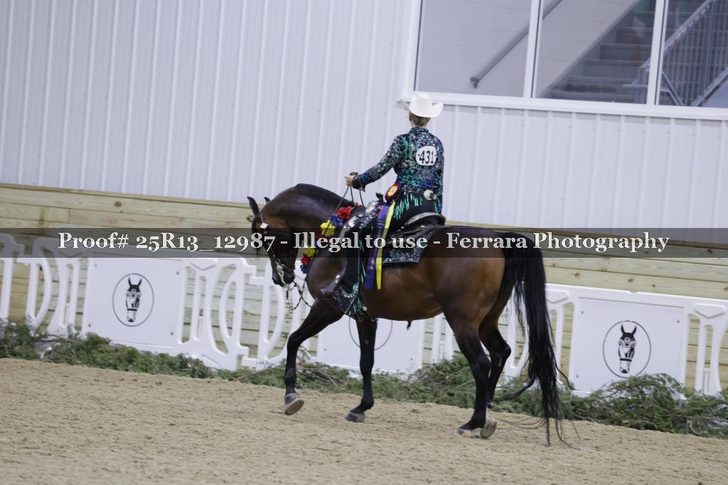 Proof Number 25R13_12987