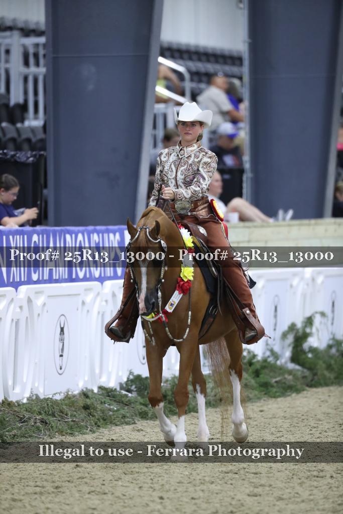 Proof Number 25R13_13000