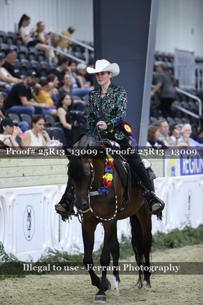 Proof Number 25R13_13009