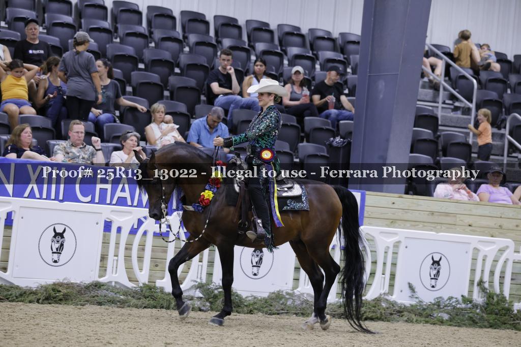 Proof Number 25R13_13022