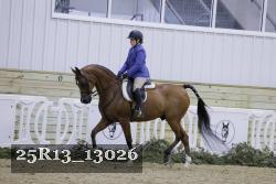 25R13_13026 thumbnail