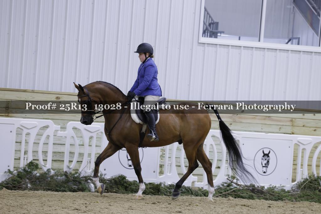 Proof Number 25R13_13028
