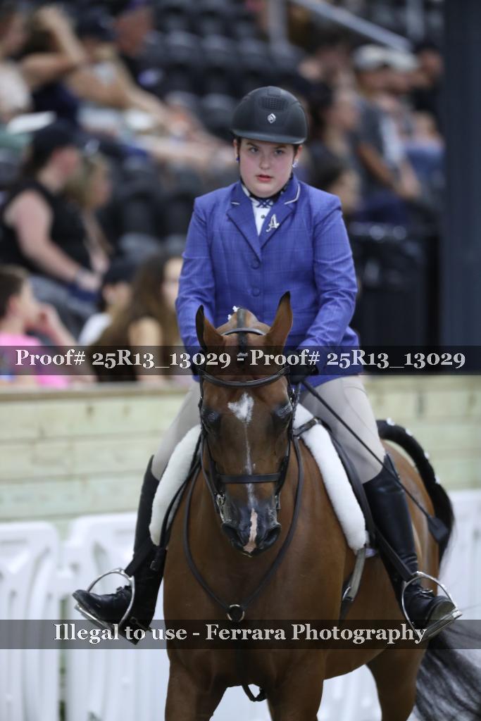 Proof Number 25R13_13029