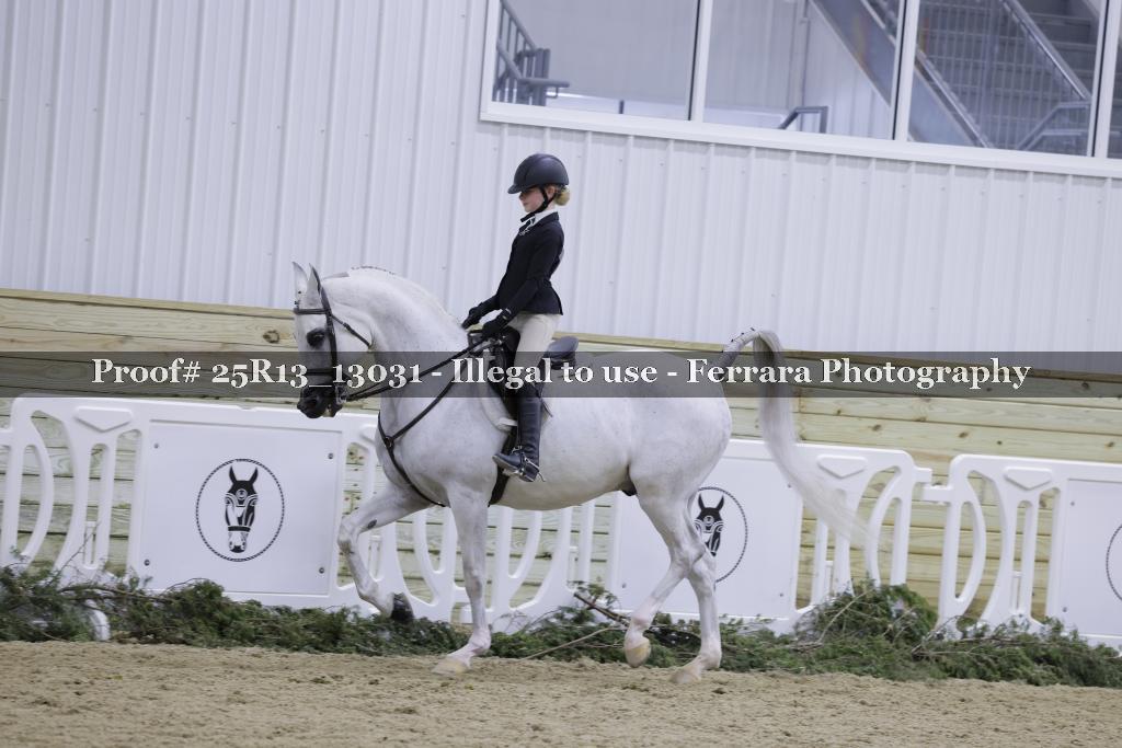 Proof Number 25R13_13031