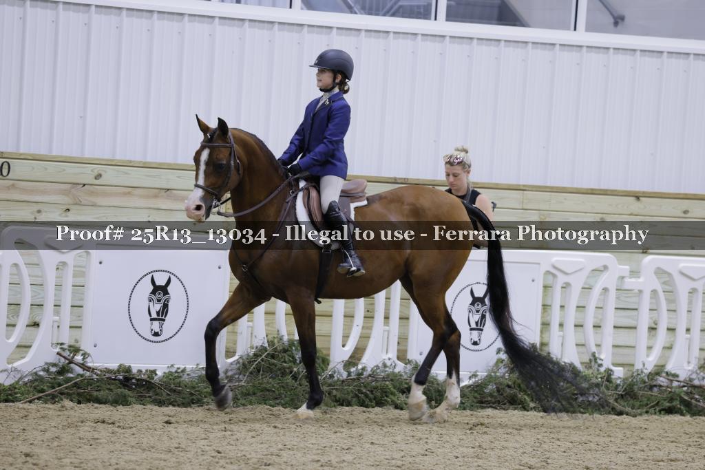 Proof Number 25R13_13034