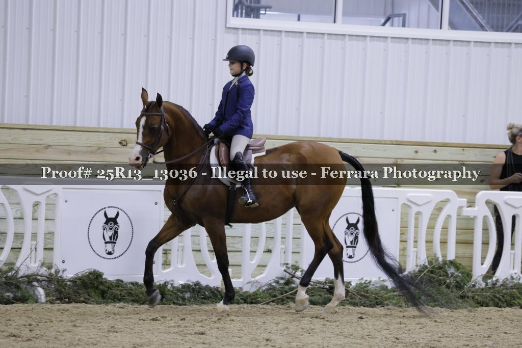 Proof Number 25R13_13036