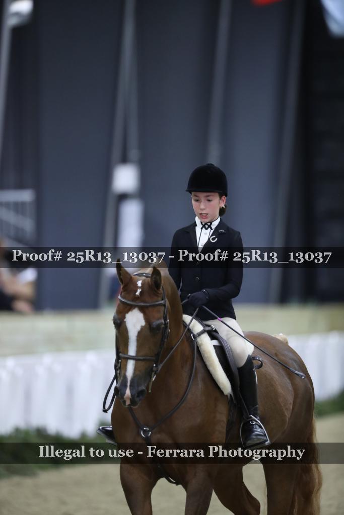 Proof Number 25R13_13037