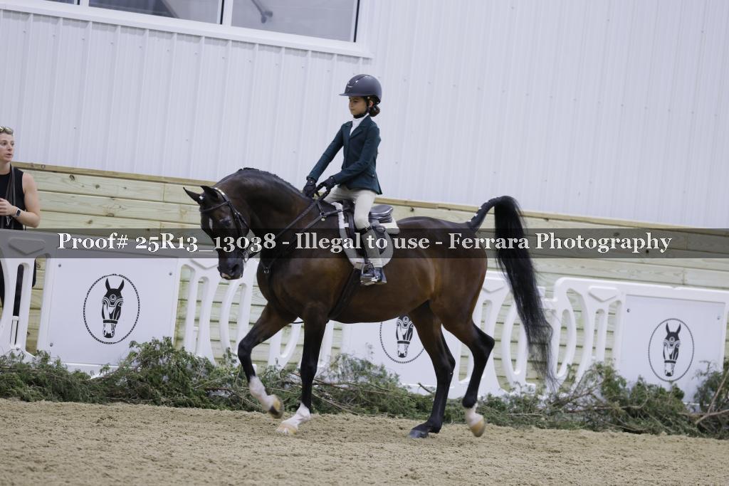 Proof Number 25R13_13038