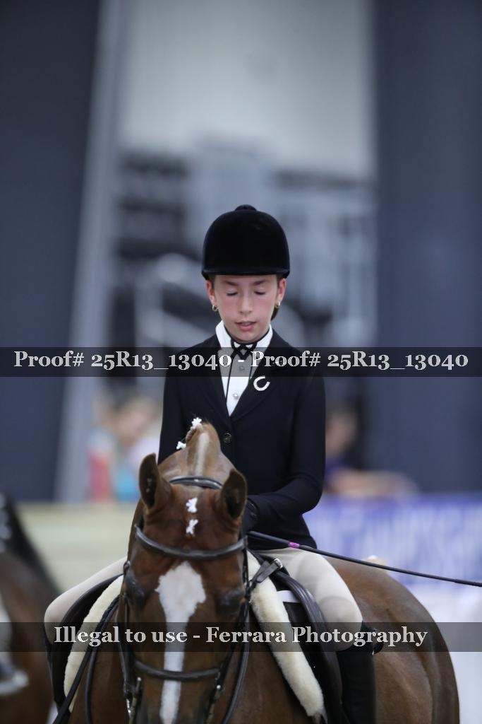 Proof Number 25R13_13040