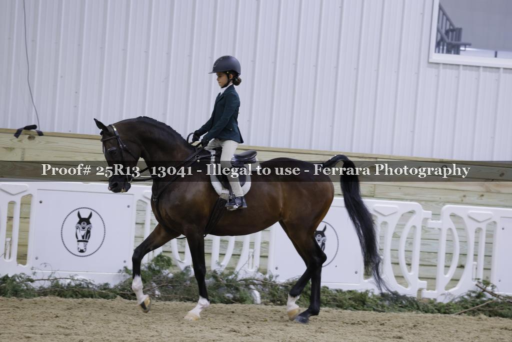 Proof Number 25R13_13041