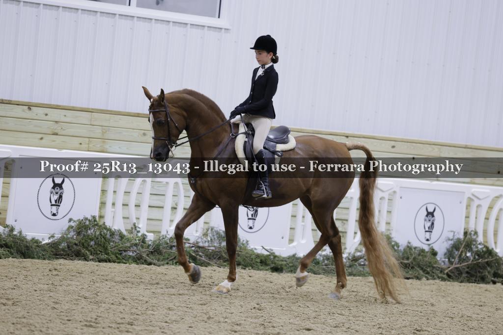 Proof Number 25R13_13043