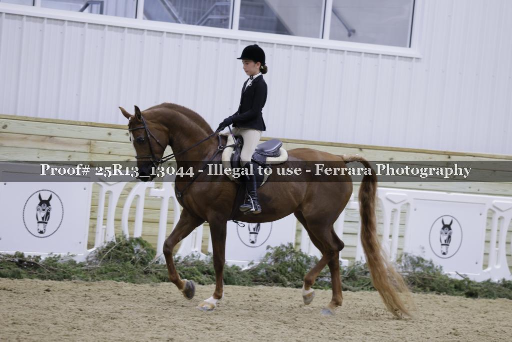 Proof Number 25R13_13044