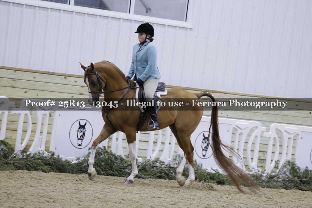 Proof Number 25R13_13045