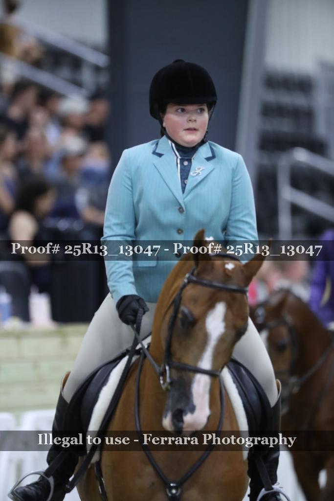 Proof Number 25R13_13047