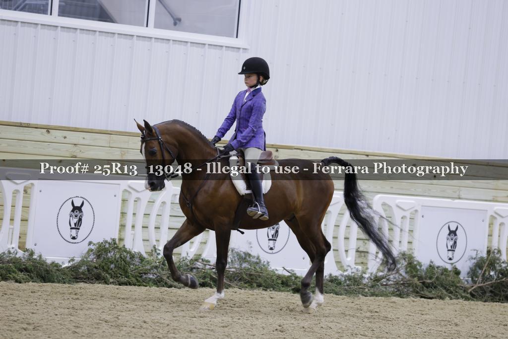 Proof Number 25R13_13048