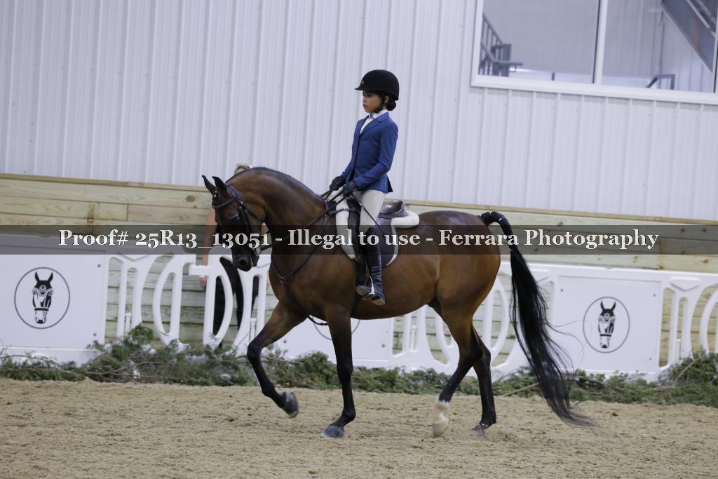 Proof Number 25R13_13051