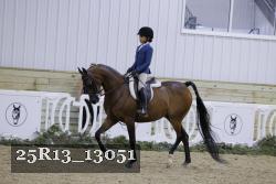 25R13_13051 thumbnail