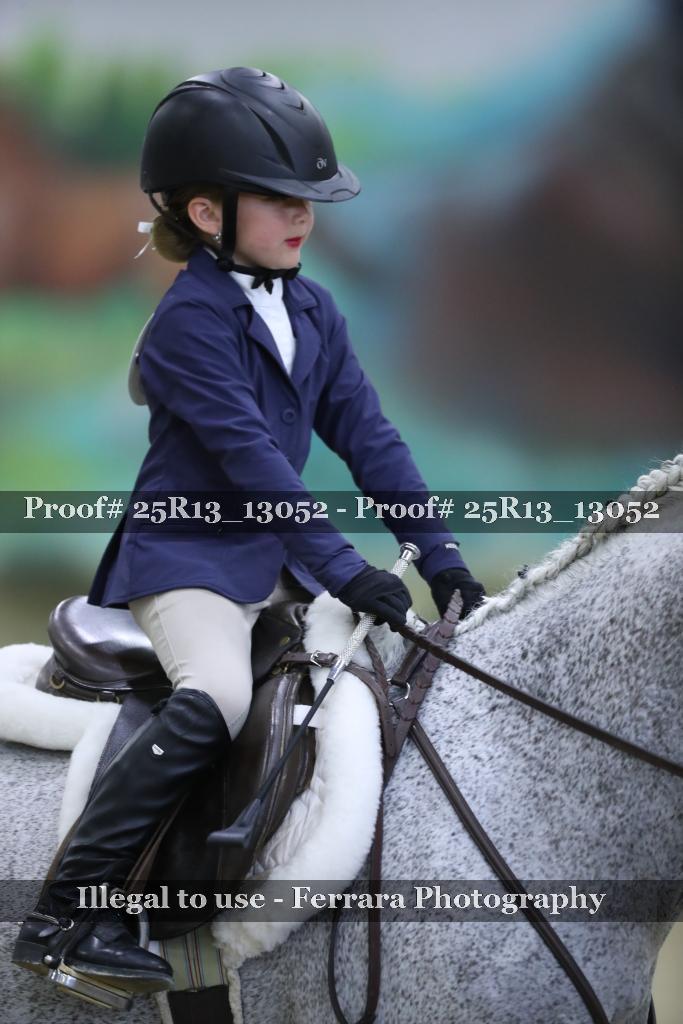 Proof Number 25R13_13052
