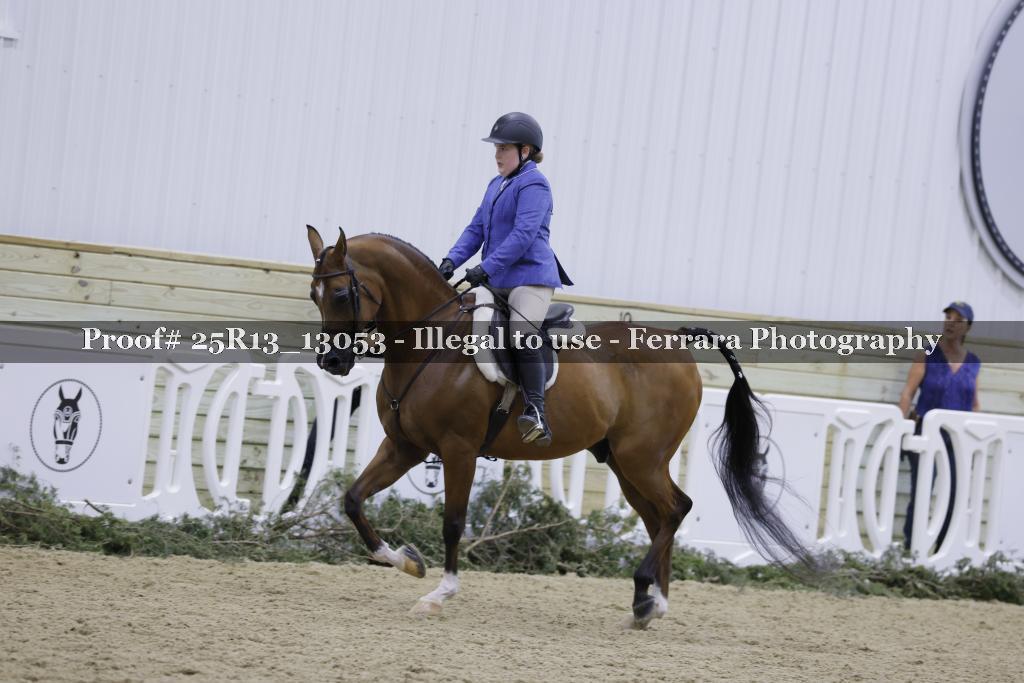 Proof Number 25R13_13053