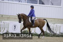 25R13_13054 thumbnail