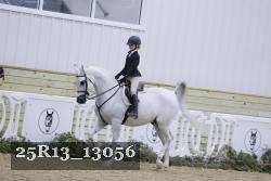 25R13_13056 thumbnail