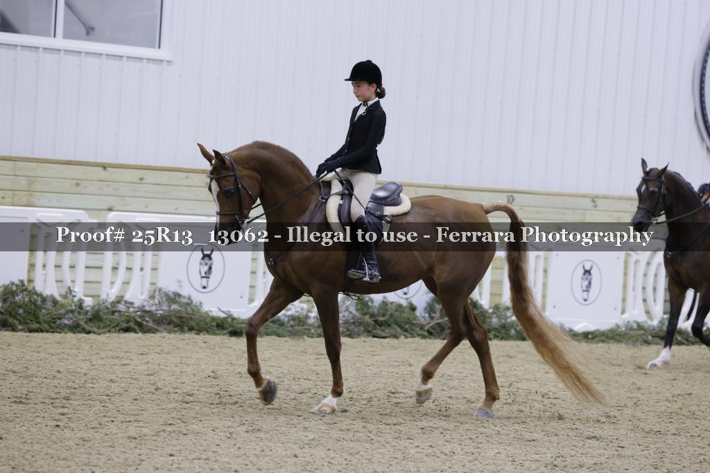 Proof Number 25R13_13062