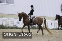25R13_13062 thumbnail