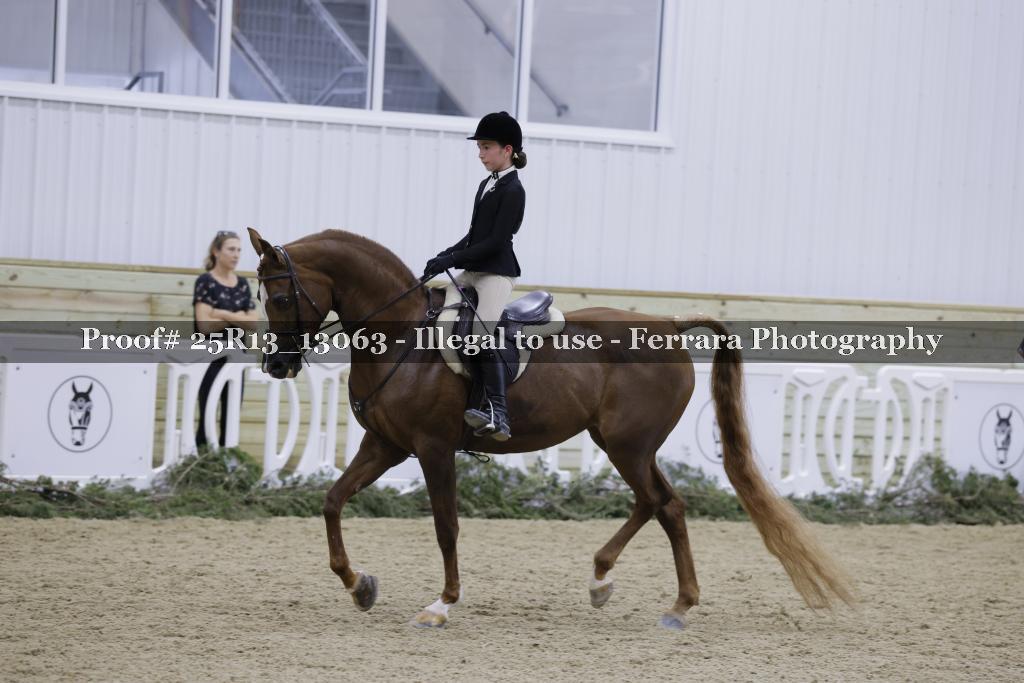Proof Number 25R13_13063