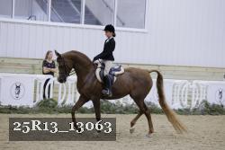 25R13_13063 thumbnail