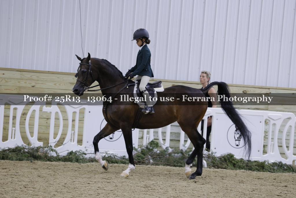 Proof Number 25R13_13064