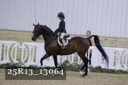 25R13_13064 thumbnail