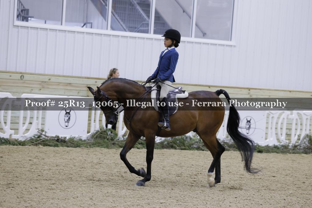 Proof Number 25R13_13065
