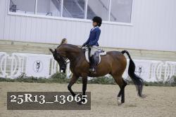 25R13_13065 thumbnail